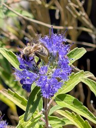 PXL_20240908_095803136~2.jpg