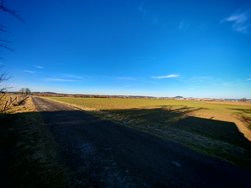 IMG_20250304_163712.jpg
