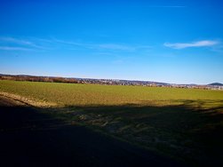 IMG_20250304_163720.jpg