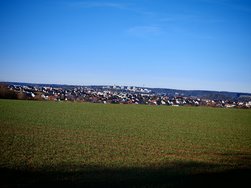 IMG_20250304_163727.jpg