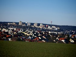 IMG_20250304_163733.jpg
