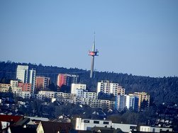 IMG_20250304_163742.jpg
