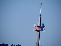 IMG_20250304_163800.jpg