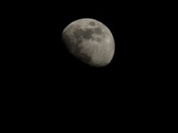 20250309_185501.jpg