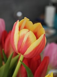 IMG_20250309_133550.jpg