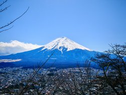 IMG_20250307_130029.jpg