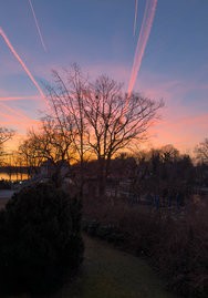 IMG_0161.jpg