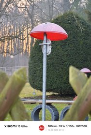 IMG_20250310_071305.jpg