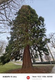 IMG_20250310_071023.jpg