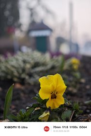 IMG_20250310_065945.jpg
