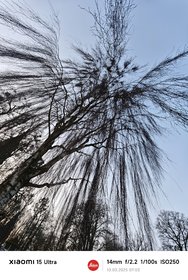 IMG_20250310_070303.jpg
