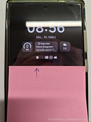 P_20250310_085620.jpg