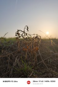 IMG_20250310_074722.jpg
