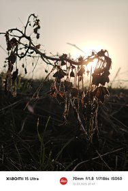 IMG_20250310_074754.jpg