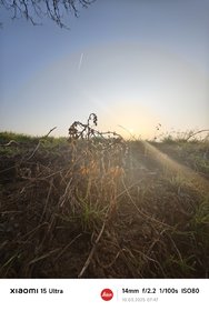 IMG_20250310_074726.jpg