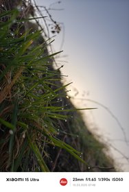 IMG_20250310_074833.jpg