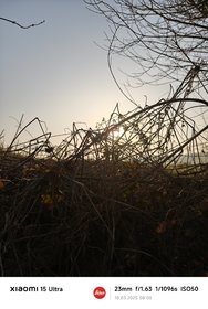 IMG_20250310_080020.jpg