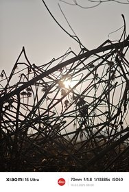 IMG_20250310_080044.jpg