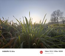 IMG_20250310_080715.jpg