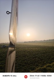 IMG_20250310_080515.jpg