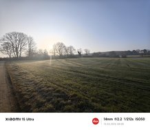 IMG_20250310_080832.jpg