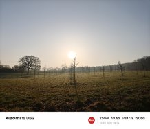 IMG_20250310_081639.jpg