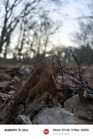 IMG_20250310_082252.jpg