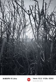 IMG_20250310_084620.jpg