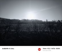 IMG_20250310_084453.jpg