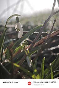 IMG_20250310_085702.jpg