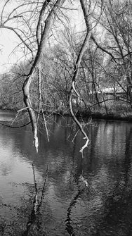 PXL_20250310_080811241~3.jpg