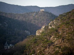 IMG_20250309_080554-2.jpg