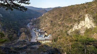 IMG_20250309_080722-2.jpg