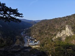 IMG_20250309_080722.jpg
