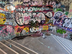 PSX_20250310_113437.jpg