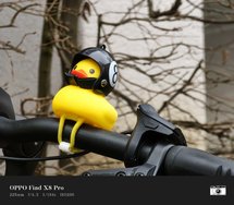 IMG_20250310_121653.jpg