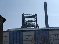 IMG20250310115714.jpg
