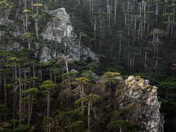 IMG_20250309_084116-HDR_P3.jpg