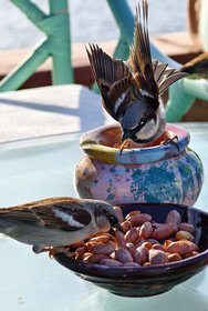 IMG_20250304_160022.jpg