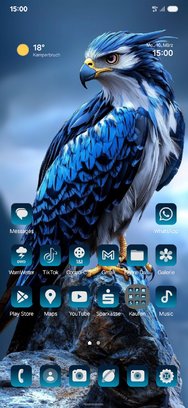Screenshot_20250310_150019_One UI Home.jpg