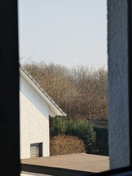 IMG_20250310_152936.jpg