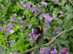 20190530_180611.jpg
