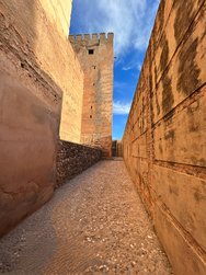 IMG_1580~2.jpg