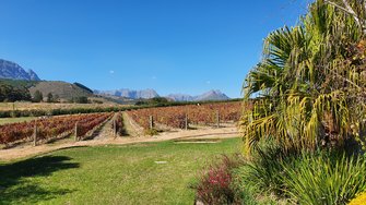 20190425_130327.jpg