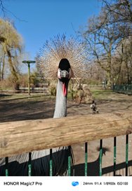 IMG_20250310_174202.jpg