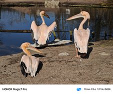 IMG_20250310_174255.jpg