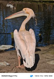 IMG_20250310_174323.jpg