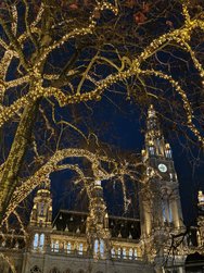 IMG_20250208_174332.jpg