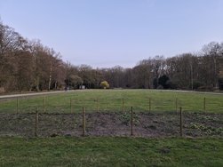 20250309_182656.jpg 20250309_182656.jpg