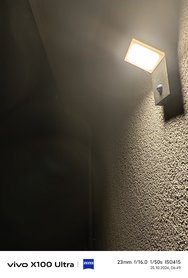 IMG_20241025_064929.jpg